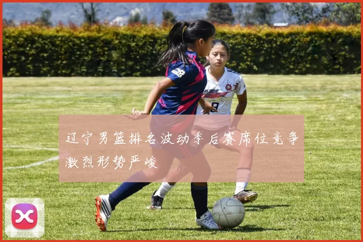 辽宁男篮排名波动季后赛席位竞争激烈形势严峻