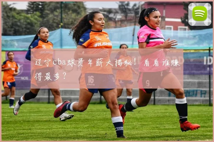 辽宁cba球员年薪大揭秘!看看谁赚得最多?