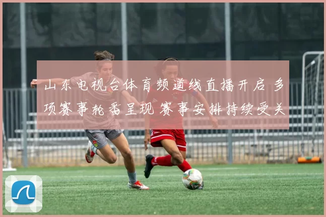 山东电视台体育频道线直播开启 多项赛事轮番呈现 赛事安排持续受关注