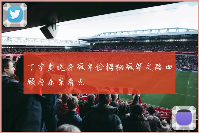 丁宁奥运夺冠年份揭秘冠军之路回顾与东京看点