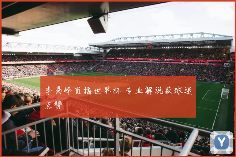 李易峰直播世界杯 专业解说获球迷点赞