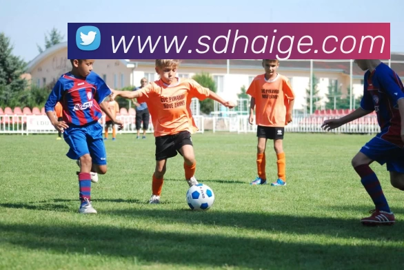 开云在线 - 开云(中国)APP 封面图