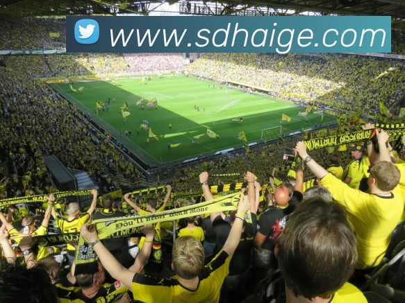 数据防护可视化